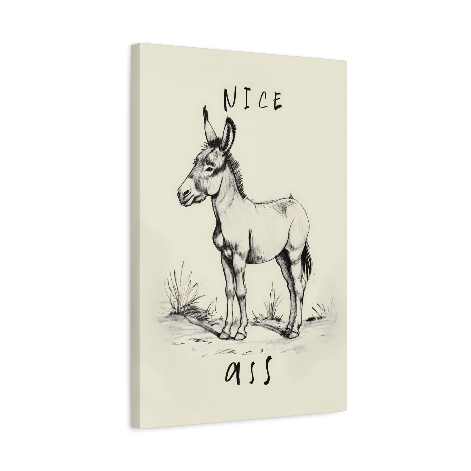 1.25" Matte Canvas - Donkey Line Art Humor
