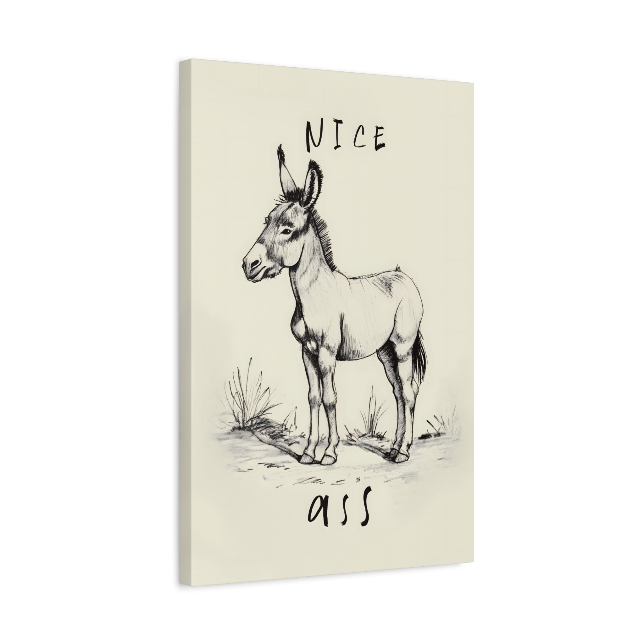 1.25" Matte Canvas - Donkey Line Art Humor