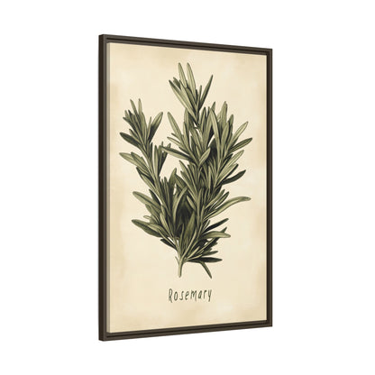 Framed Canvas - Botanical Rosemary Study