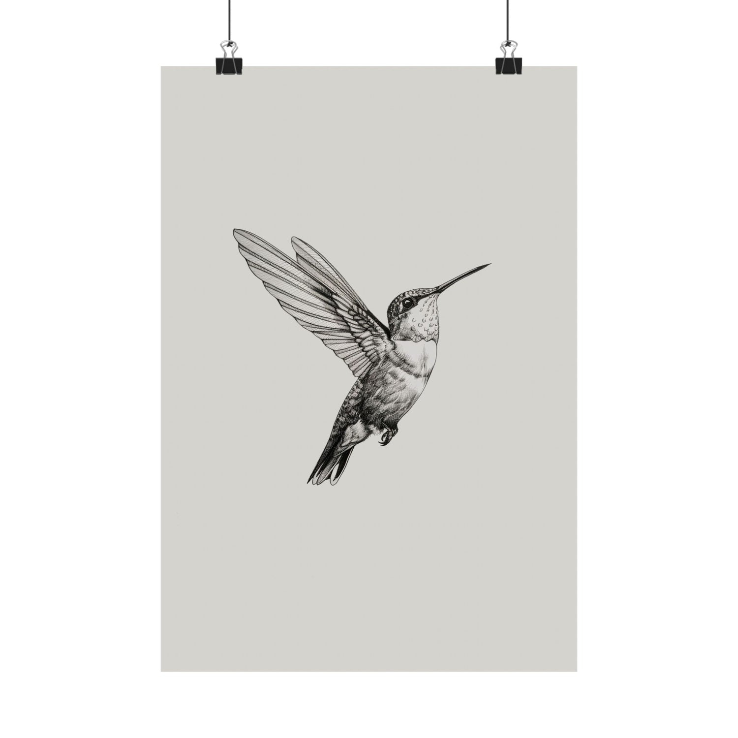 Flying Hummingbird Line Study