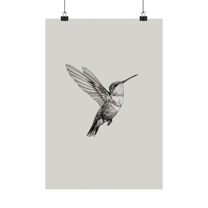 Flying Hummingbird Line Study