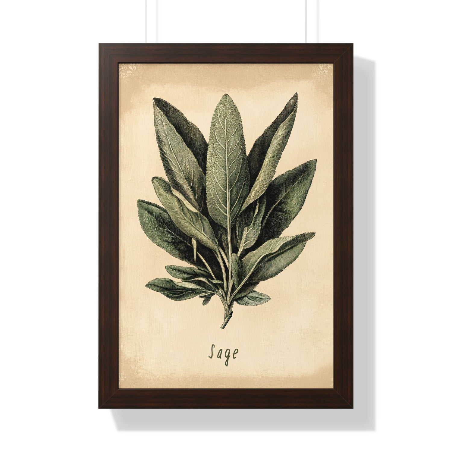 Framed Paper Print - Botanical Sage Study