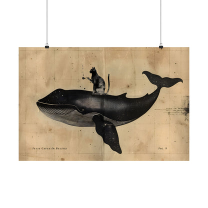 Cat Rides Whale Theory