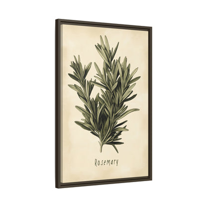 Framed Canvas - Botanical Rosemary Study