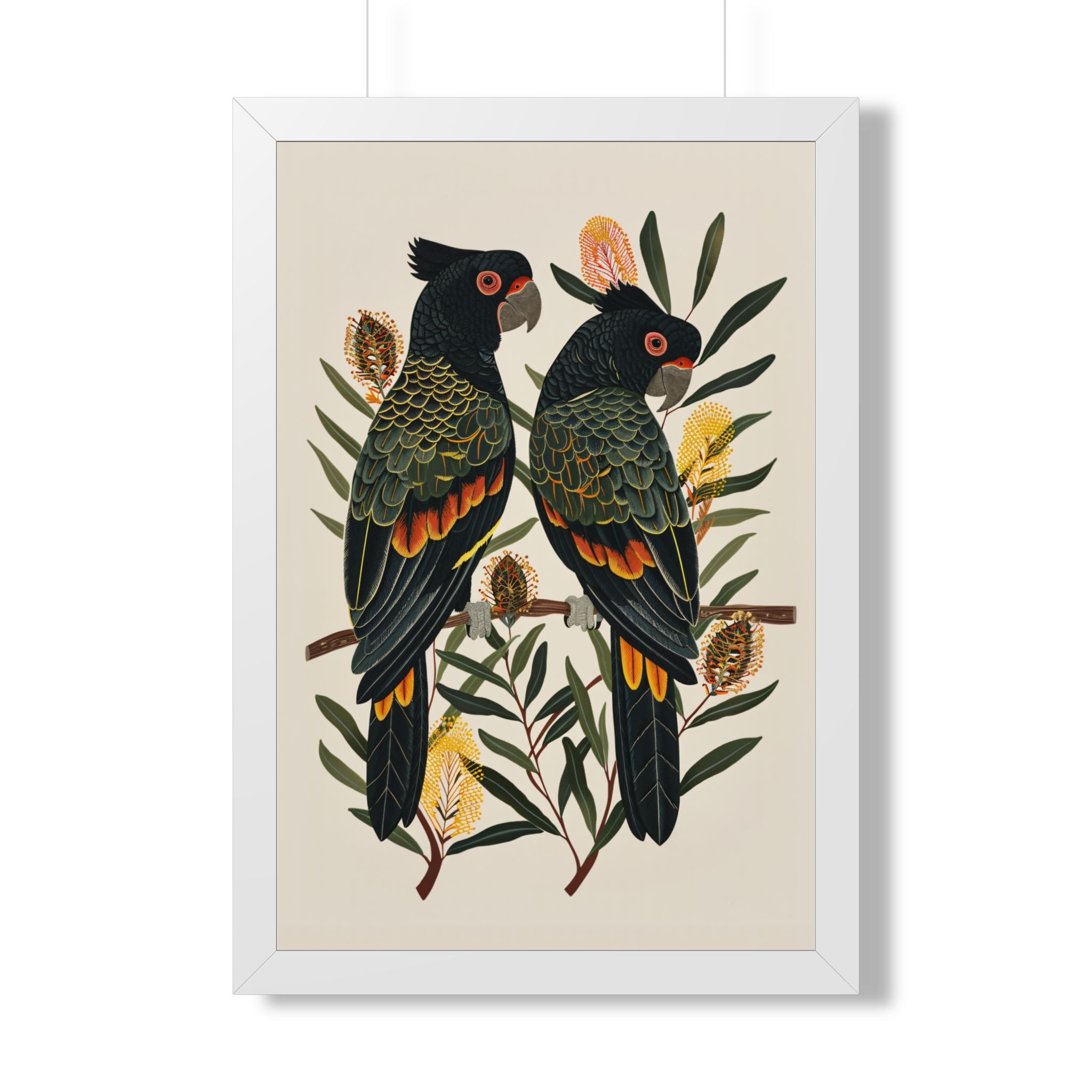 Framed Paper Print - Black Cockatoos Among Banksia
