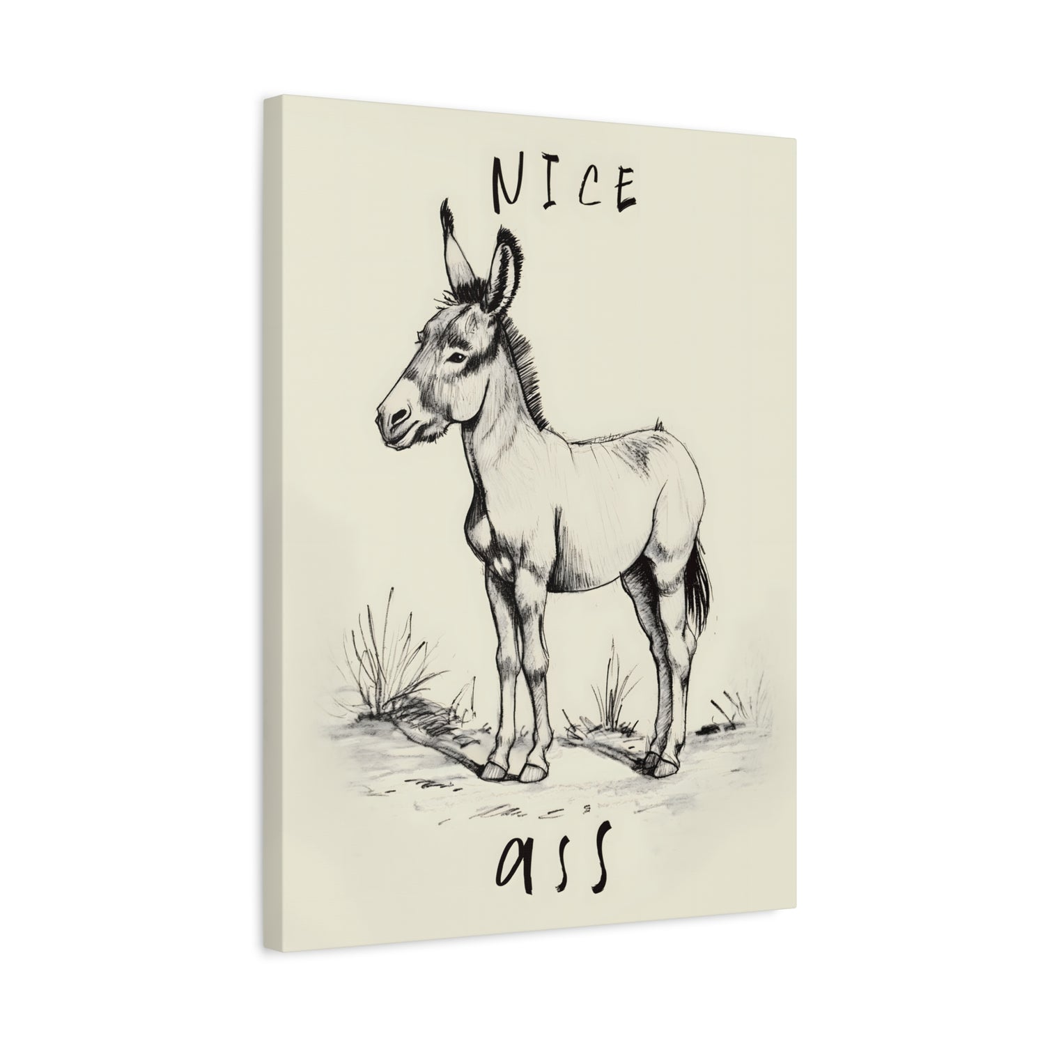 1.25" Matte Canvas - Donkey Line Art Humor