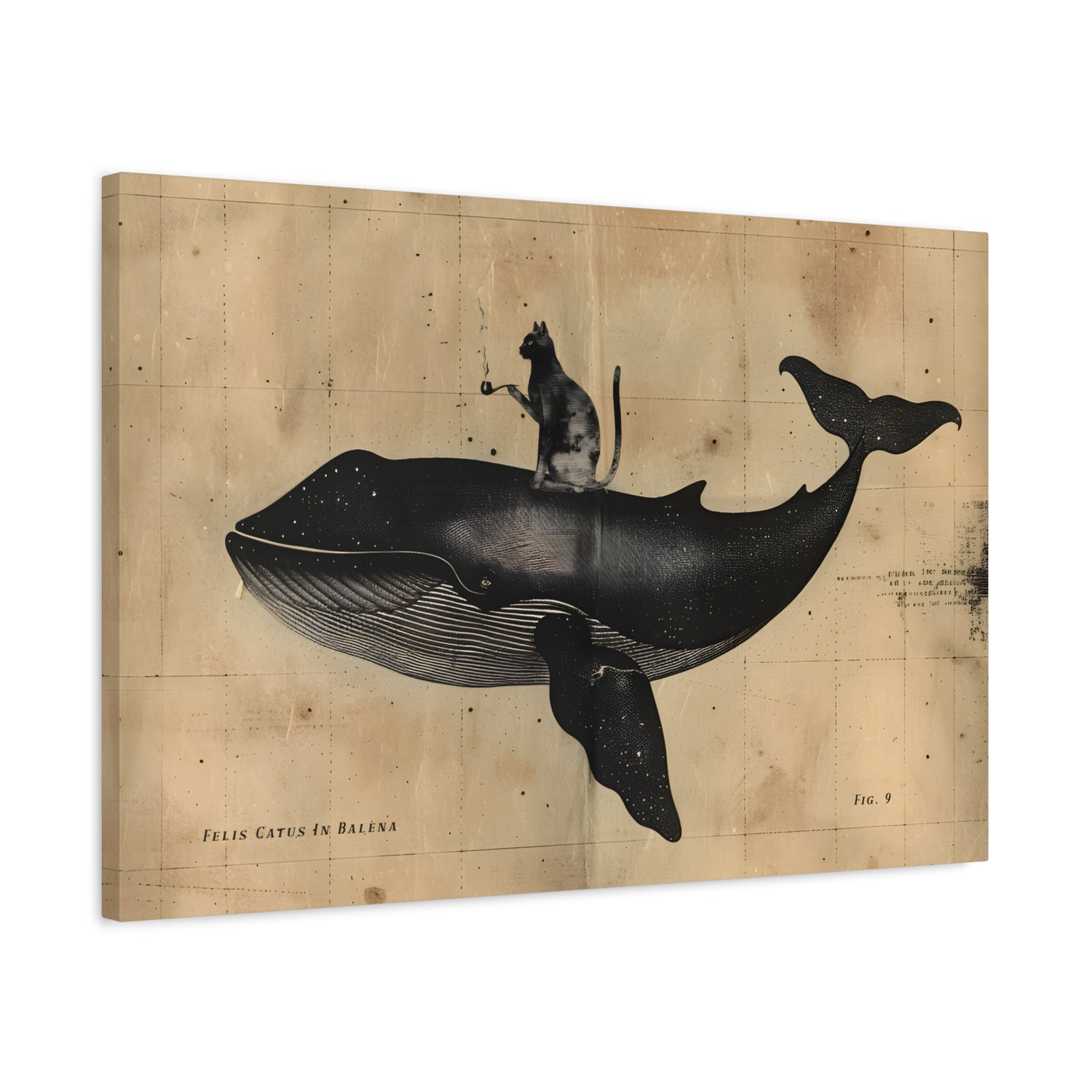 1.25" Matte Canvas - Cat Rides Whale Theory