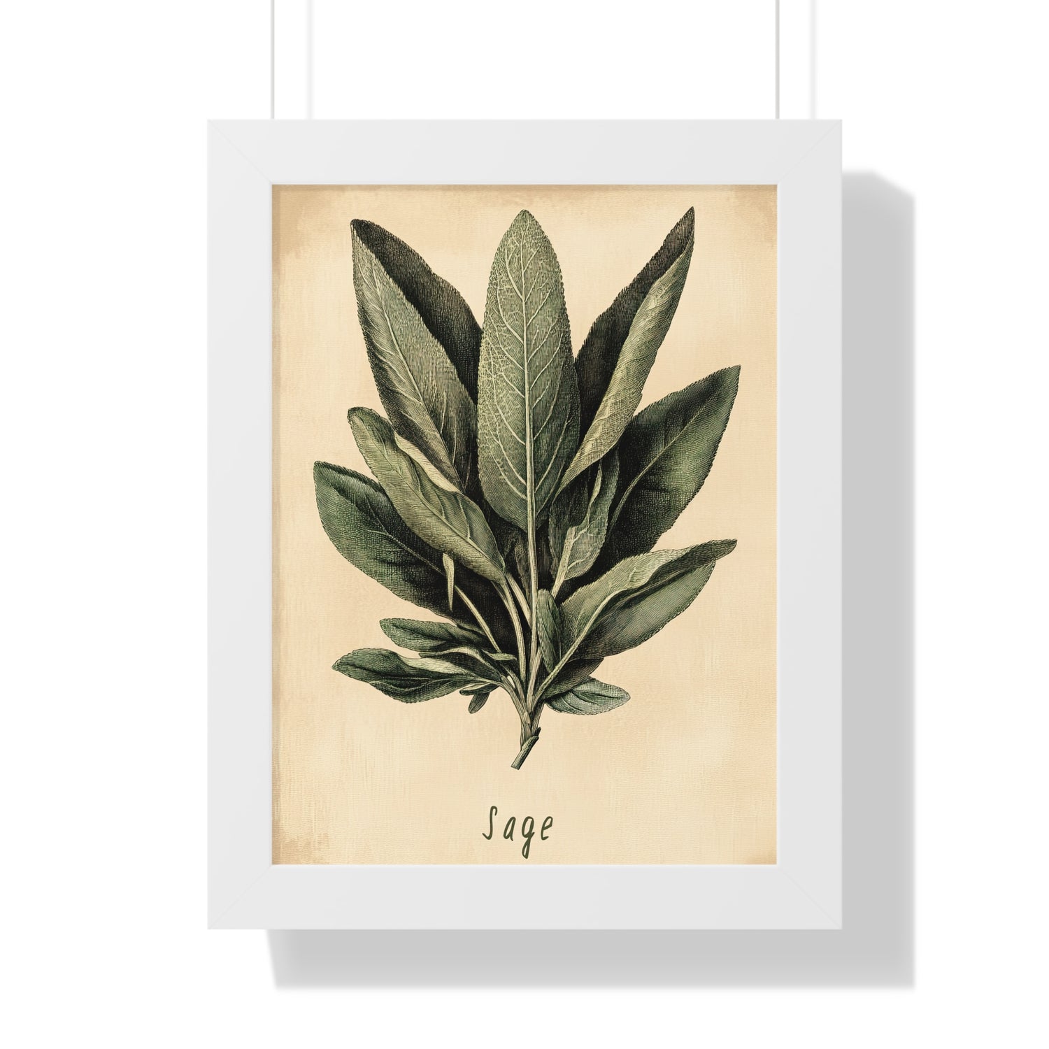 Framed Paper Print - Botanical Sage Study