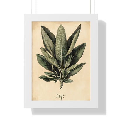 Framed Paper Print - Botanical Sage Study