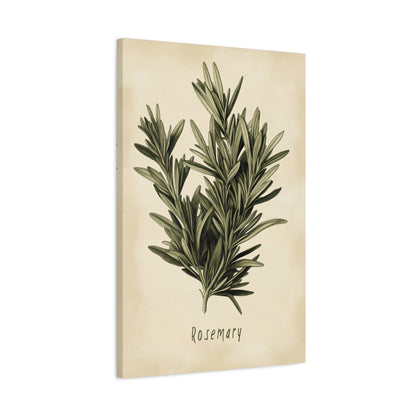1.25" Matte Canvas - Botanical Rosemary Study