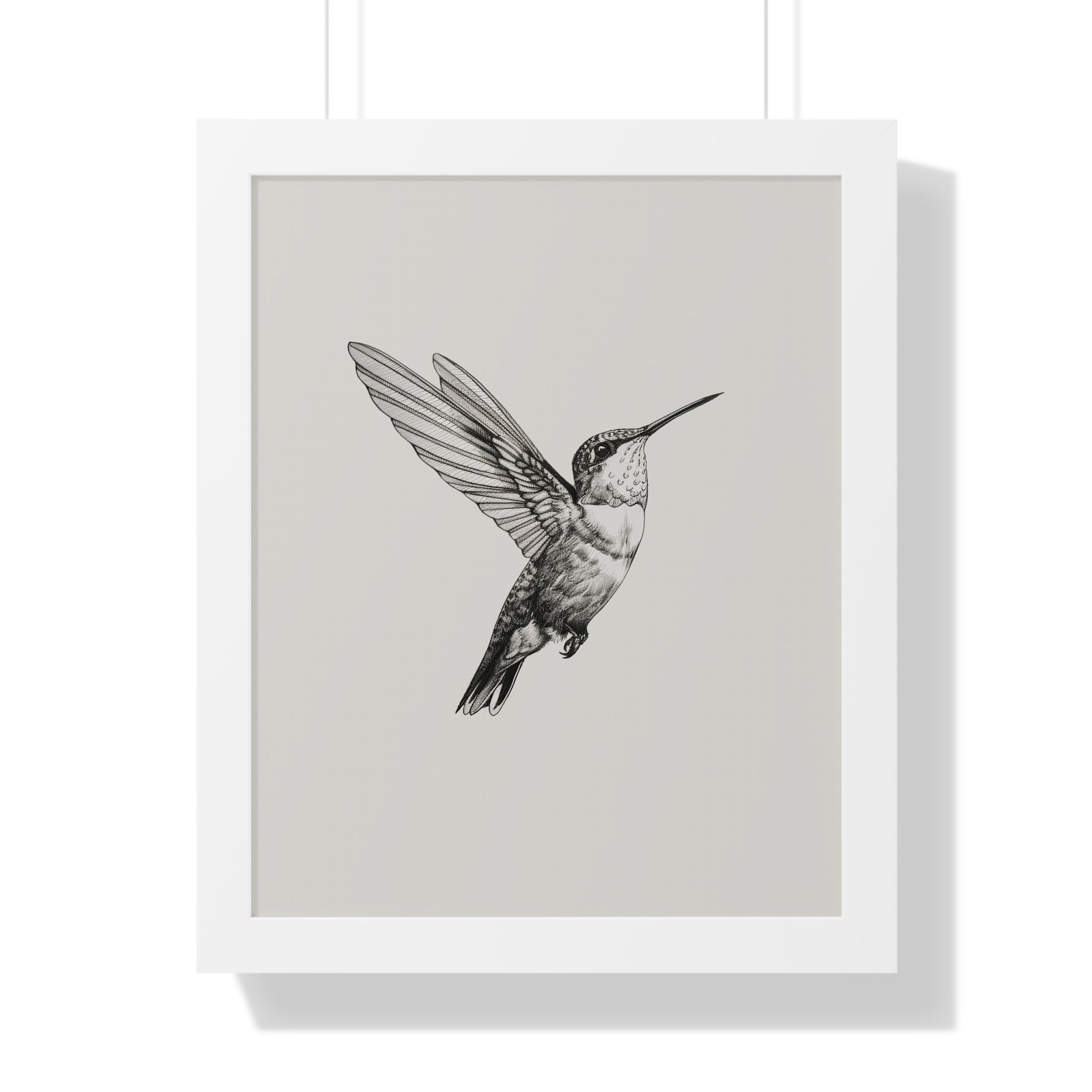 Framed Paper Print - Flying Hummingbird Line Study