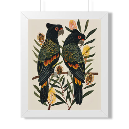 Framed Paper Print - Black Cockatoos Among Banksia