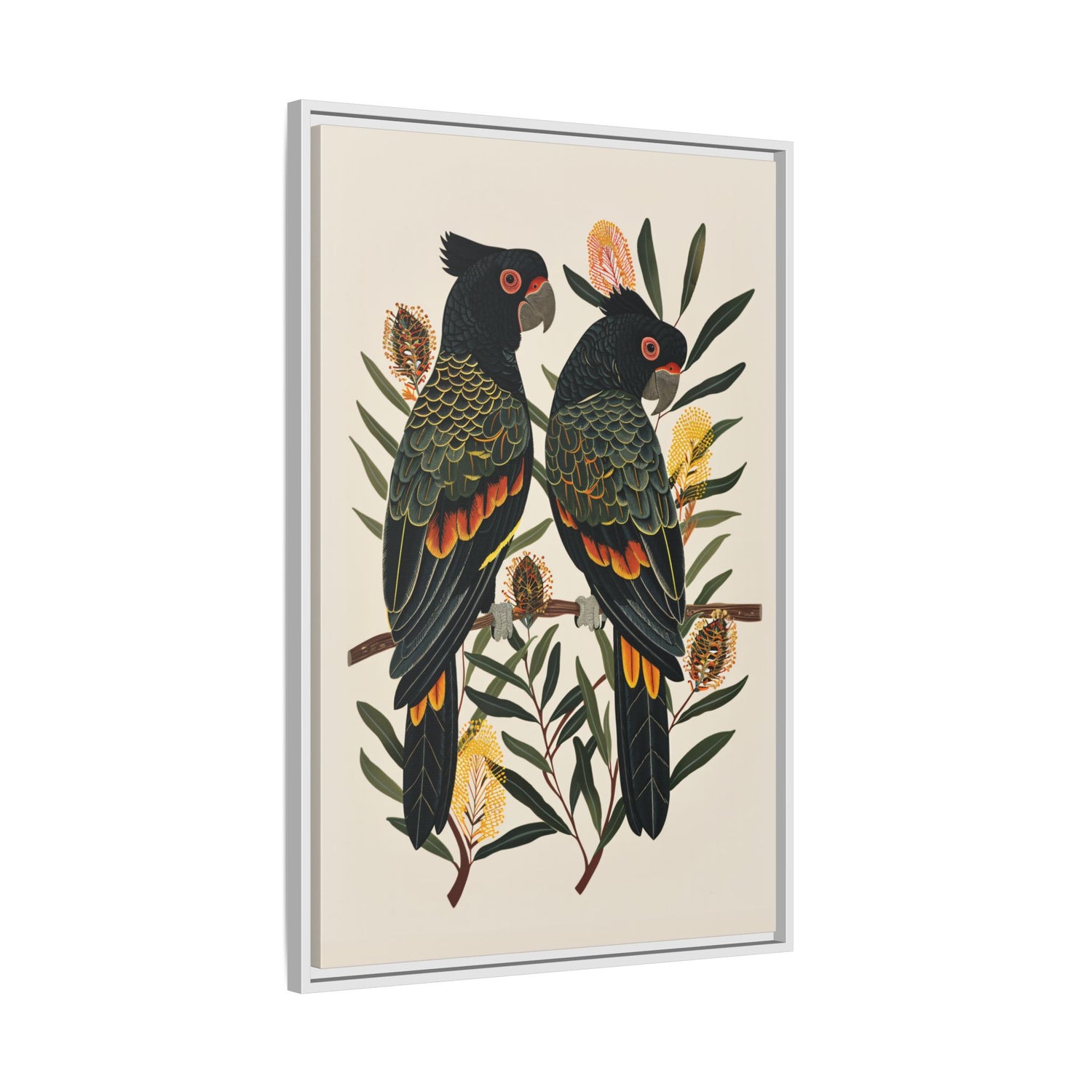Framed Canvas - Black Cockatoos Among Banksia