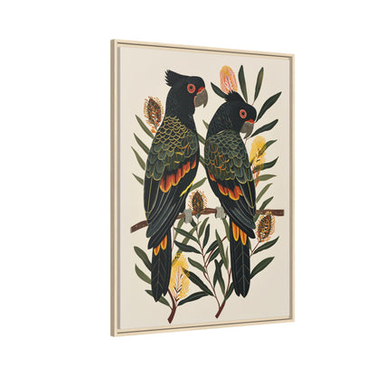Framed Canvas - Black Cockatoos Among Banksia