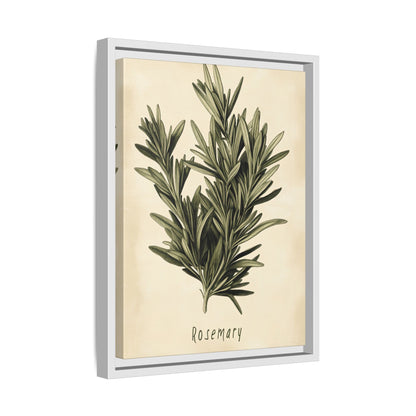 Framed Canvas - Botanical Rosemary Study