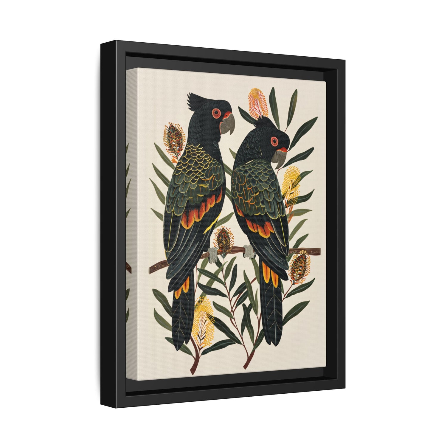 Framed Canvas - Black Cockatoos Among Banksia
