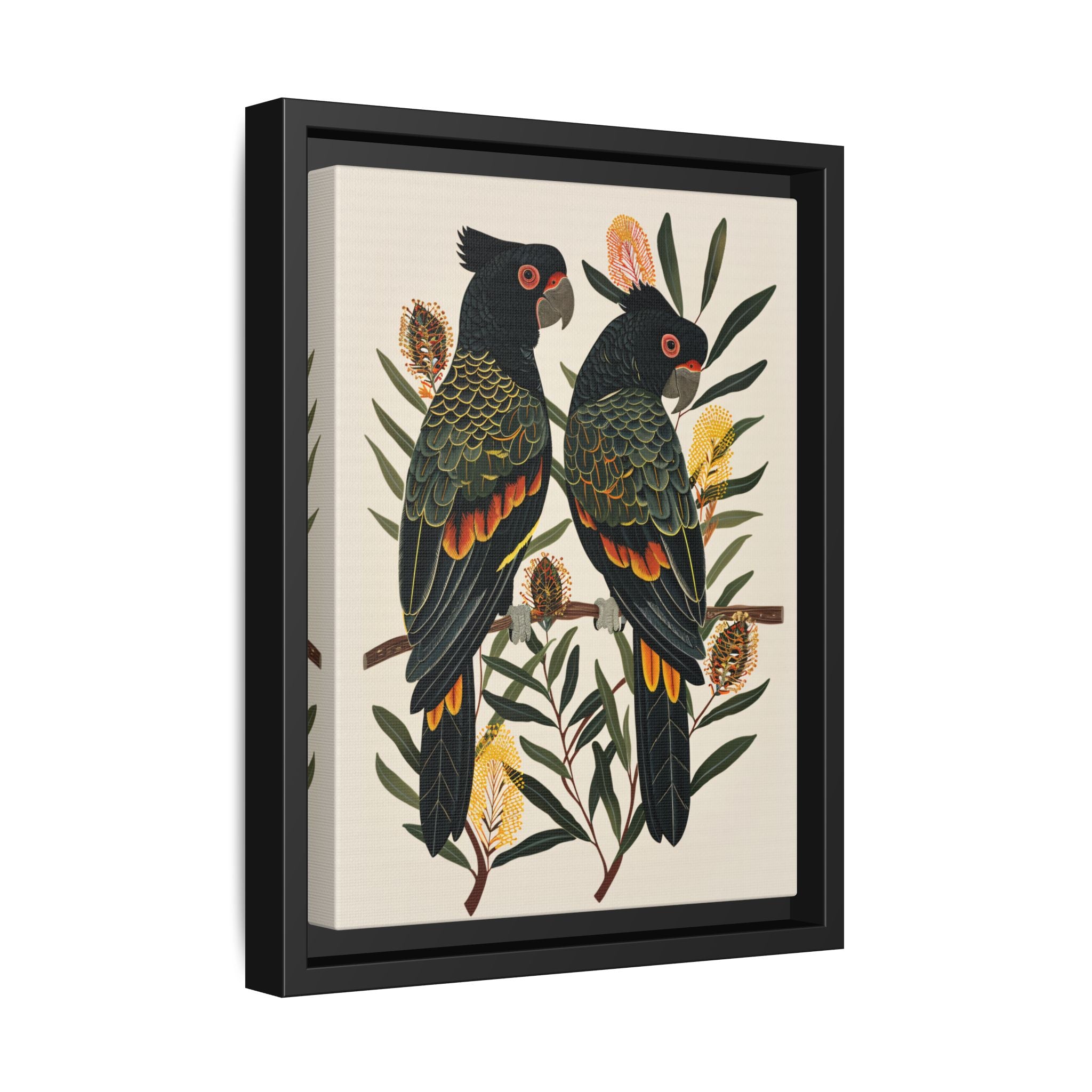 Framed Canvas - Black Cockatoos Among Banksia