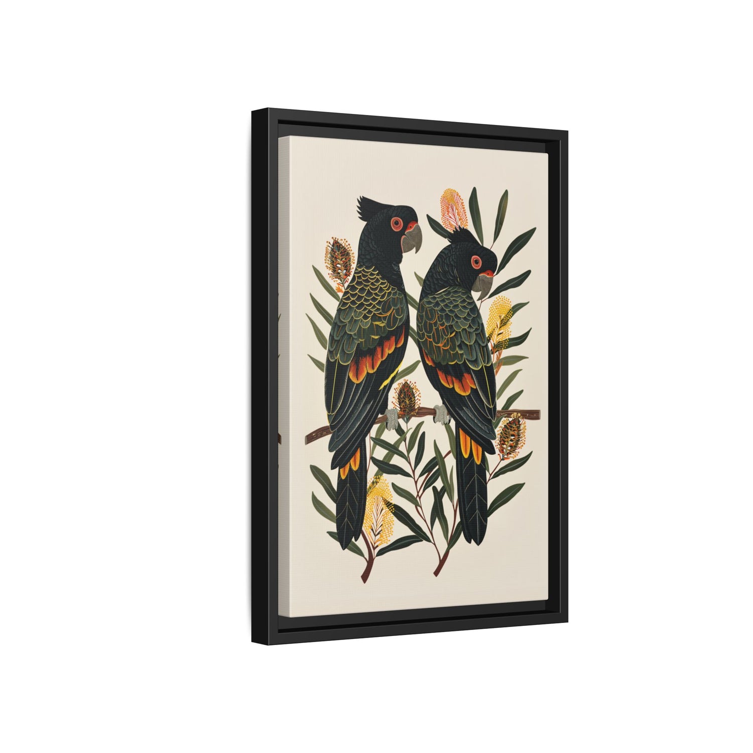 Framed Canvas - Black Cockatoos Among Banksia