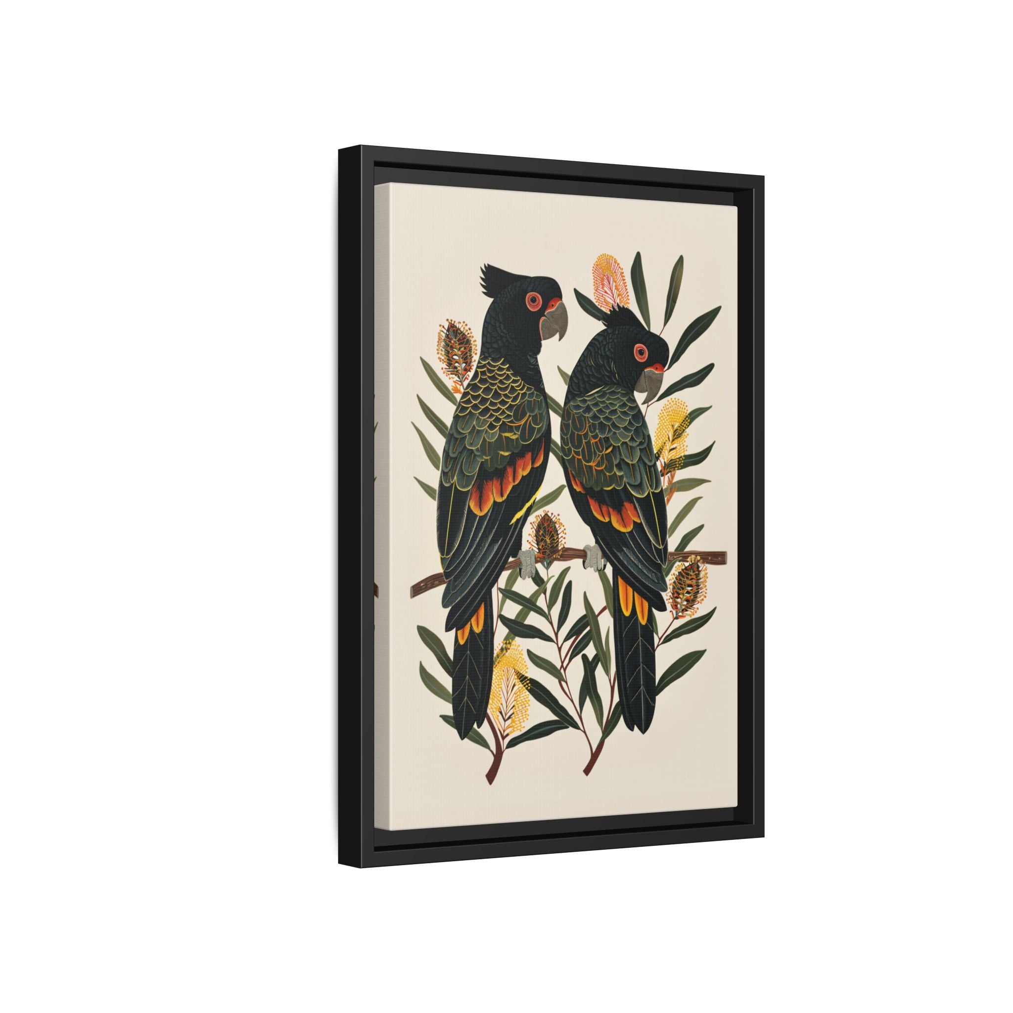 Framed Canvas - Black Cockatoos Among Banksia