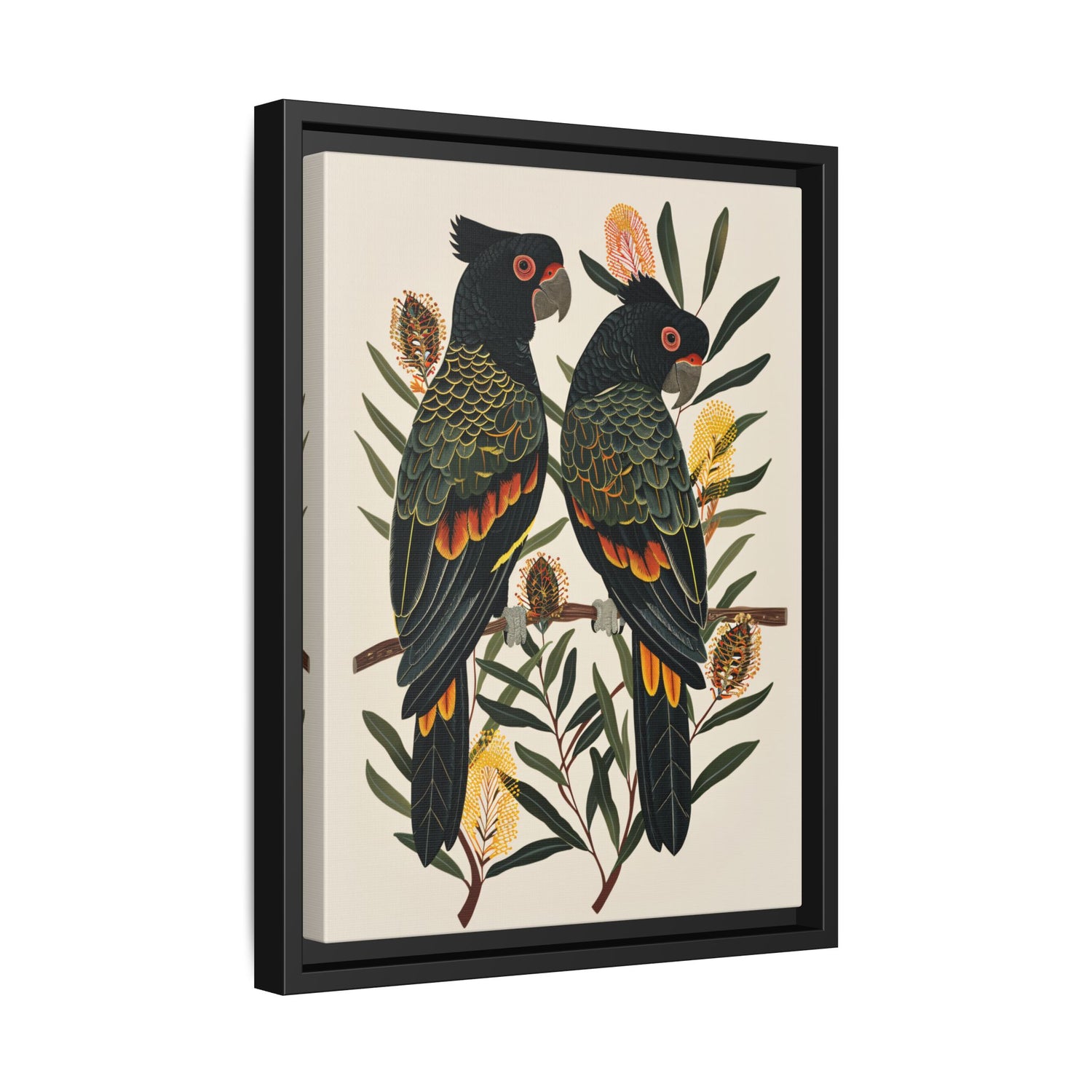 Framed Canvas - Black Cockatoos Among Banksia