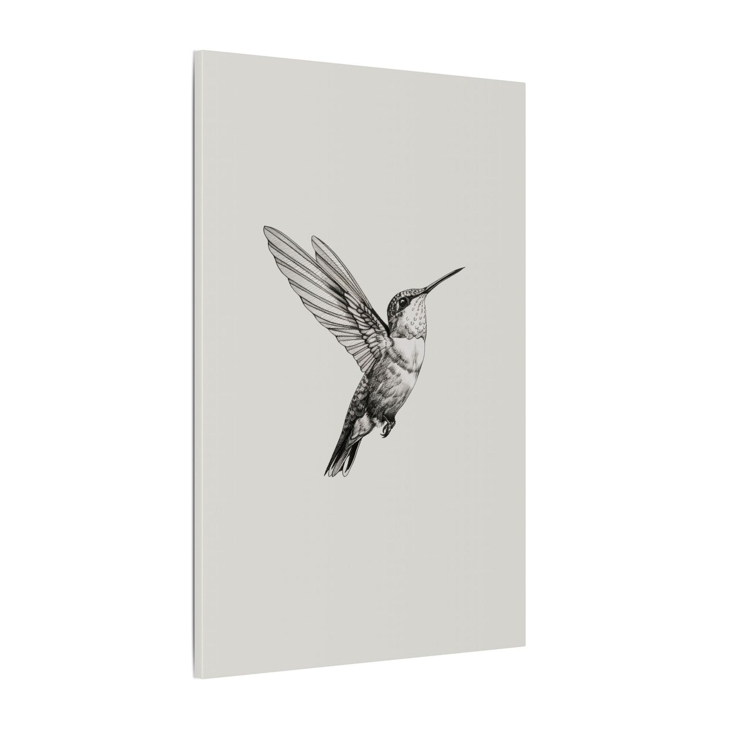 .75" Matte Canvas - Flying Hummingbird Line Study