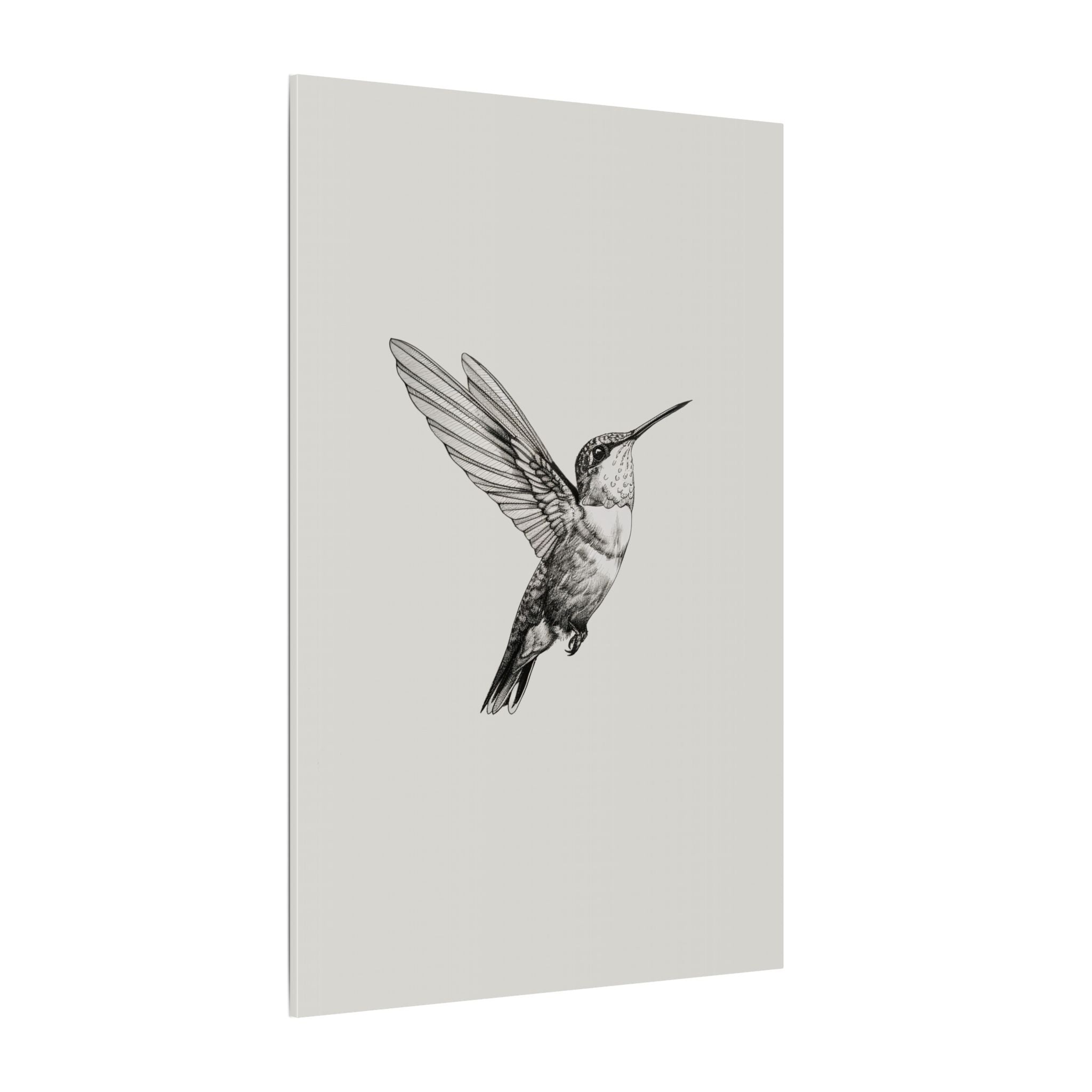 .75" Matte Canvas - Flying Hummingbird Line Study