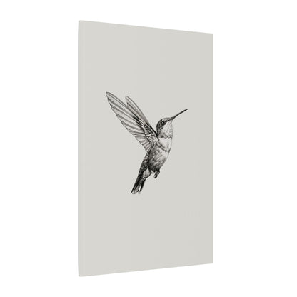 .75" Matte Canvas - Flying Hummingbird Line Study