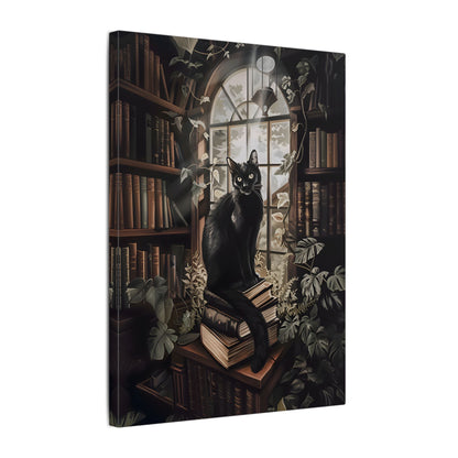 .75" Matte Canvas - Book Hoarder Feline Gaze