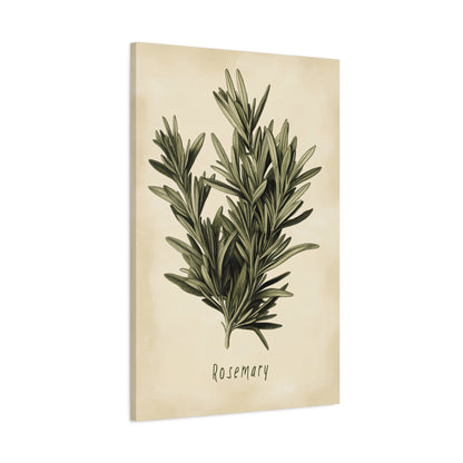 1.25" Matte Canvas - Botanical Rosemary Study