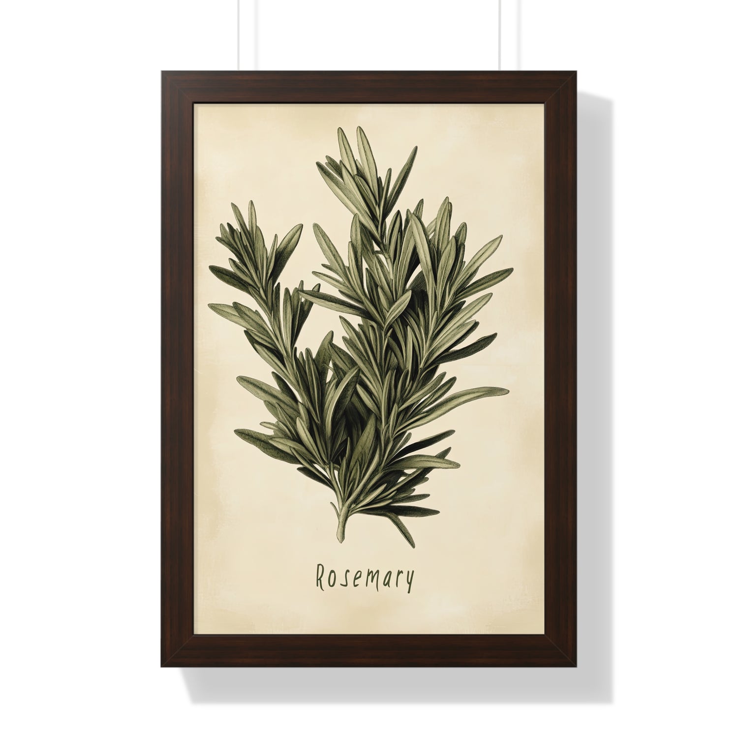 Framed Paper Print - Botanical Rosemary Study