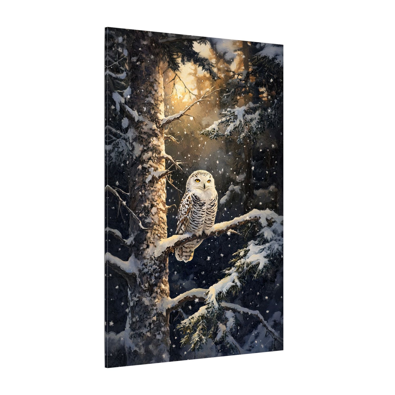 .75" Matte Canvas - Silent Gaze Snow Owl