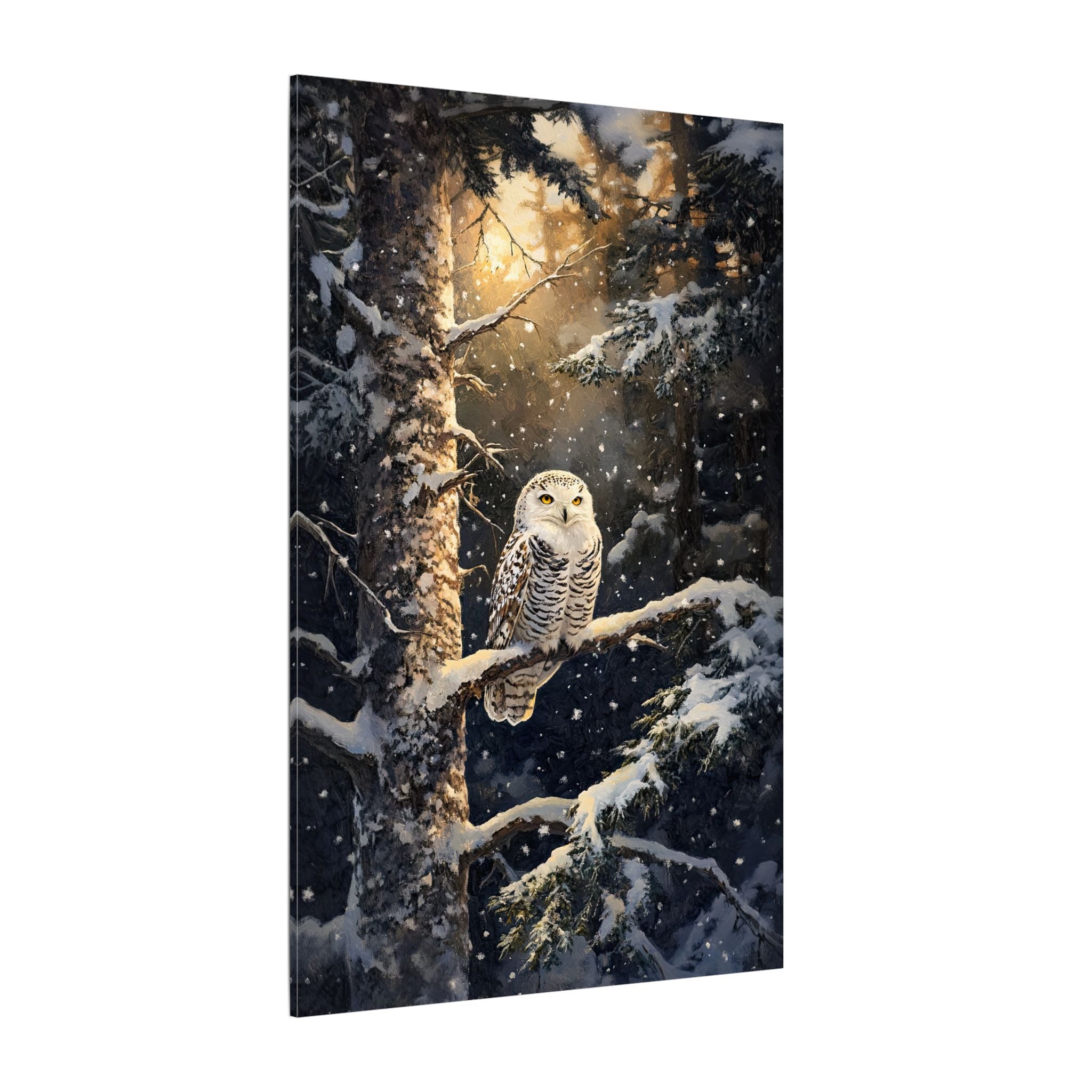 .75" Matte Canvas - Silent Gaze Snow Owl