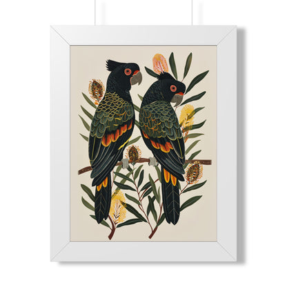 Framed Paper Print - Black Cockatoos Among Banksia