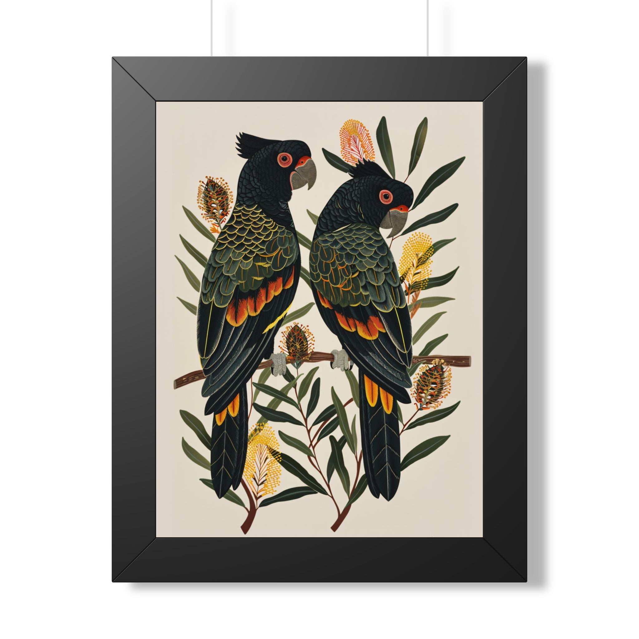 Framed Paper Print - Black Cockatoos Among Banksia