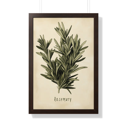 Framed Paper Print - Botanical Rosemary Study