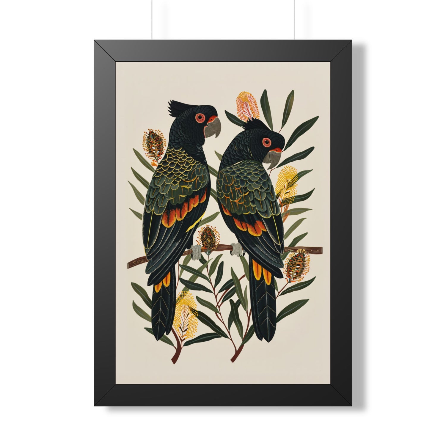 Framed Paper Print - Black Cockatoos Among Banksia
