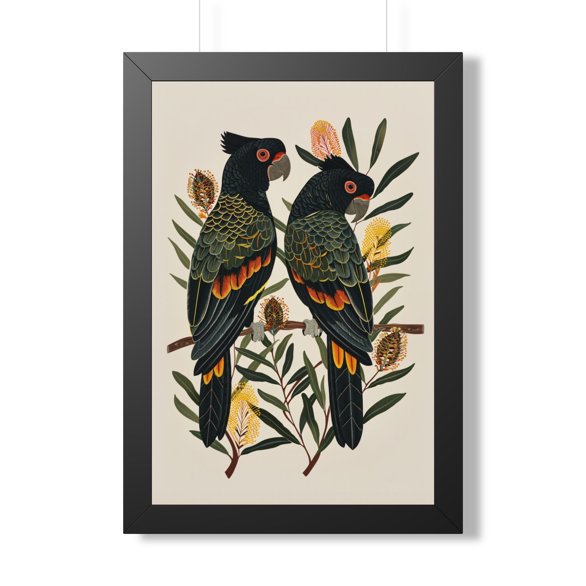 Framed Paper Print - Black Cockatoos Among Banksia
