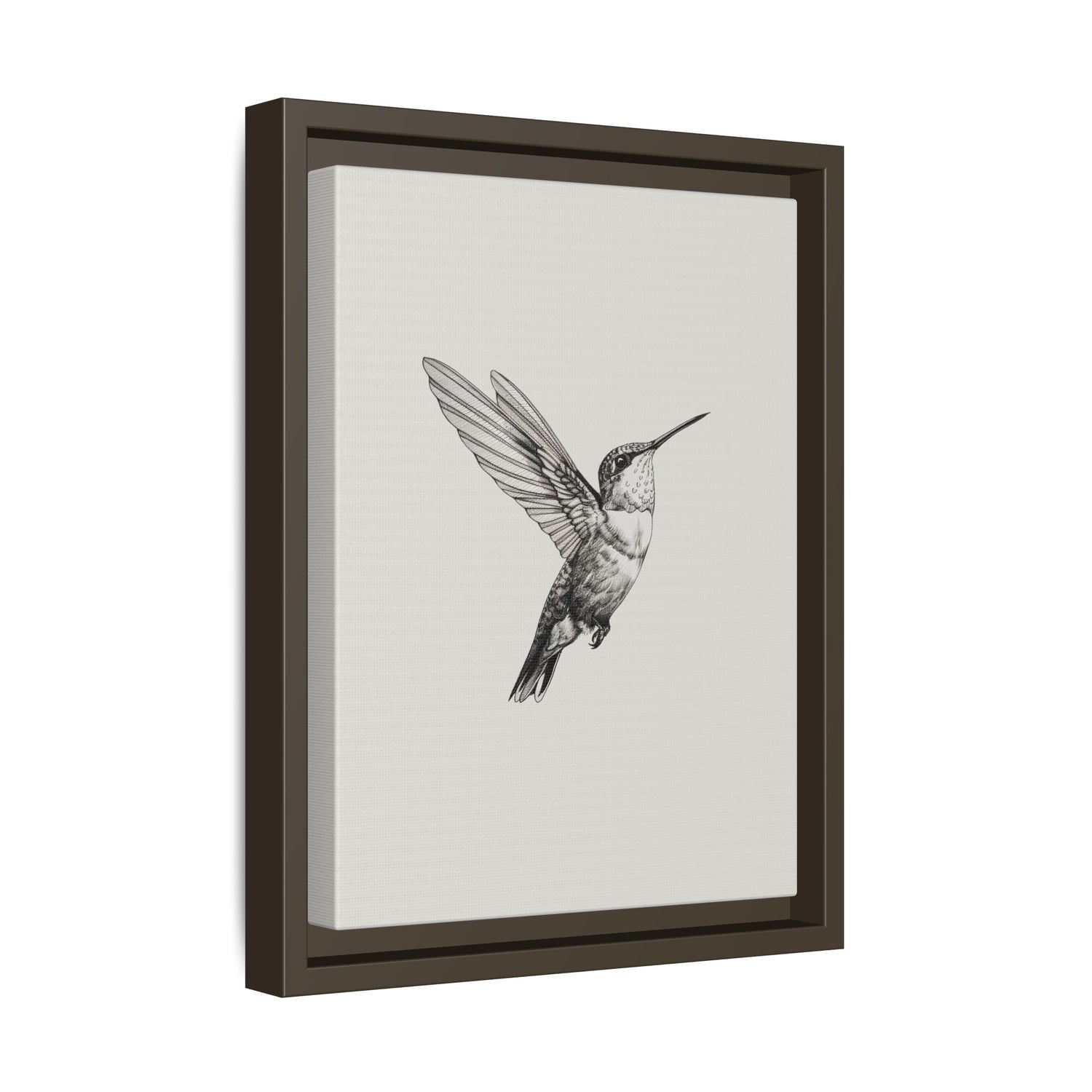 Framed Canvas - Flying Hummingbird Line Study
