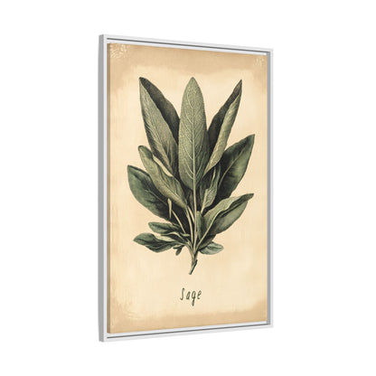 Framed Canvas - Botanical Sage Study