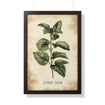Framed Paper Print - Botanical Lemon Balm Study