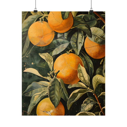 Citrus Grove Splendor