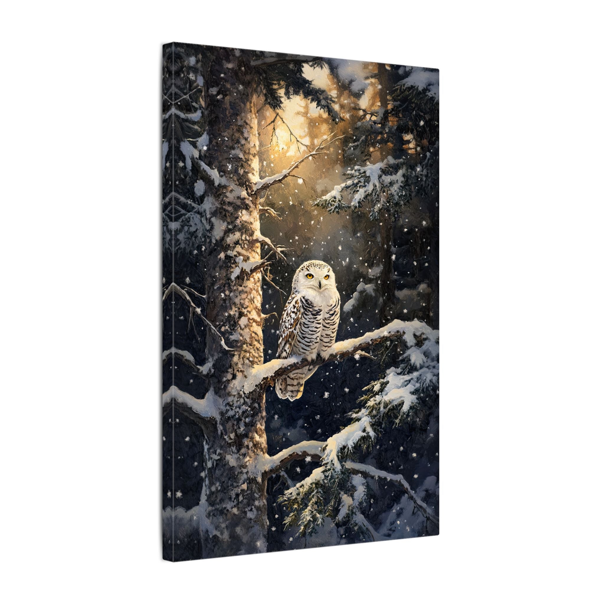 .75" Matte Canvas - Silent Gaze Snow Owl