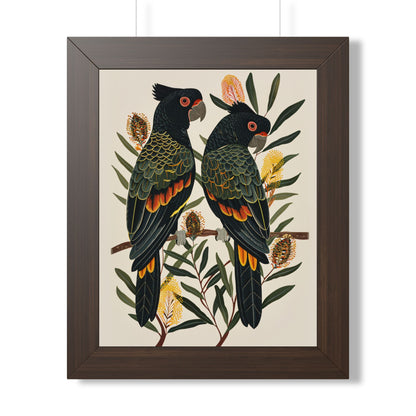 Framed Paper Print - Black Cockatoos Among Banksia