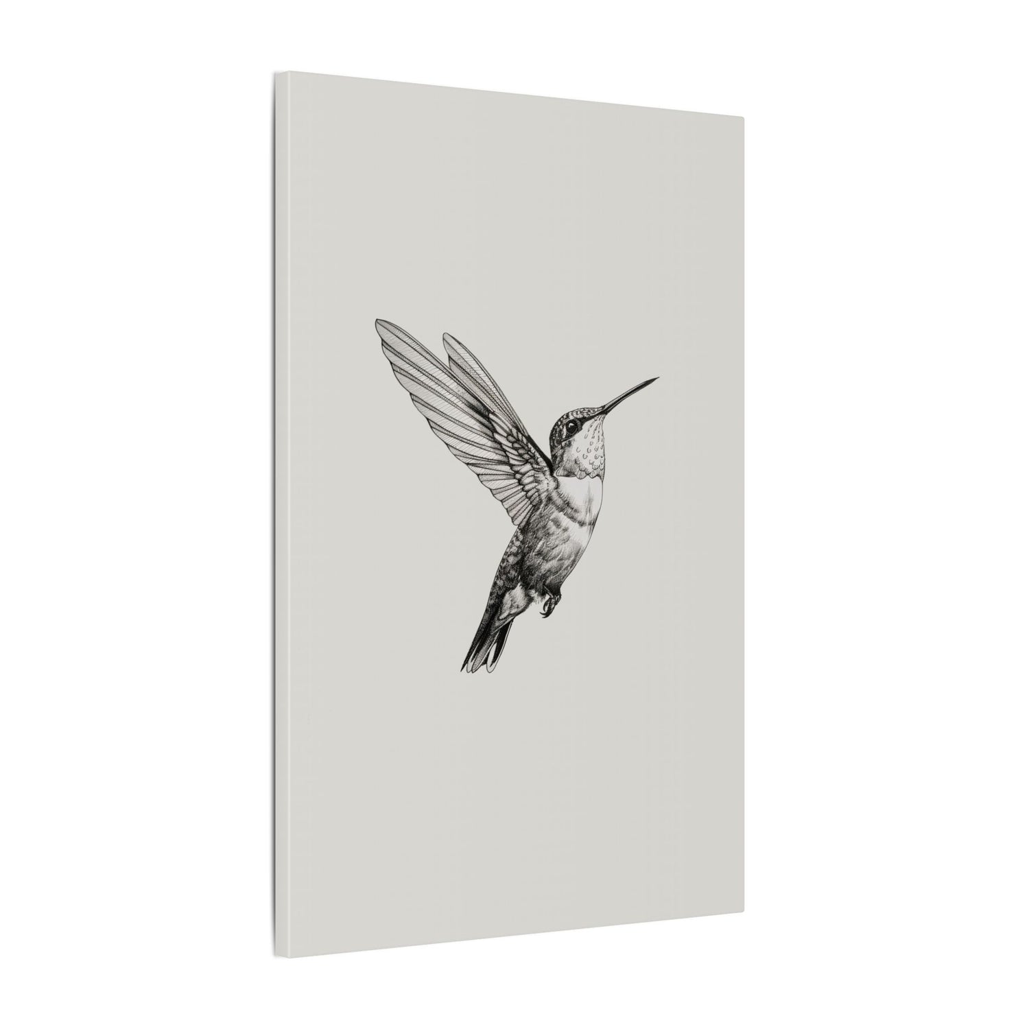.75" Matte Canvas - Flying Hummingbird Line Study