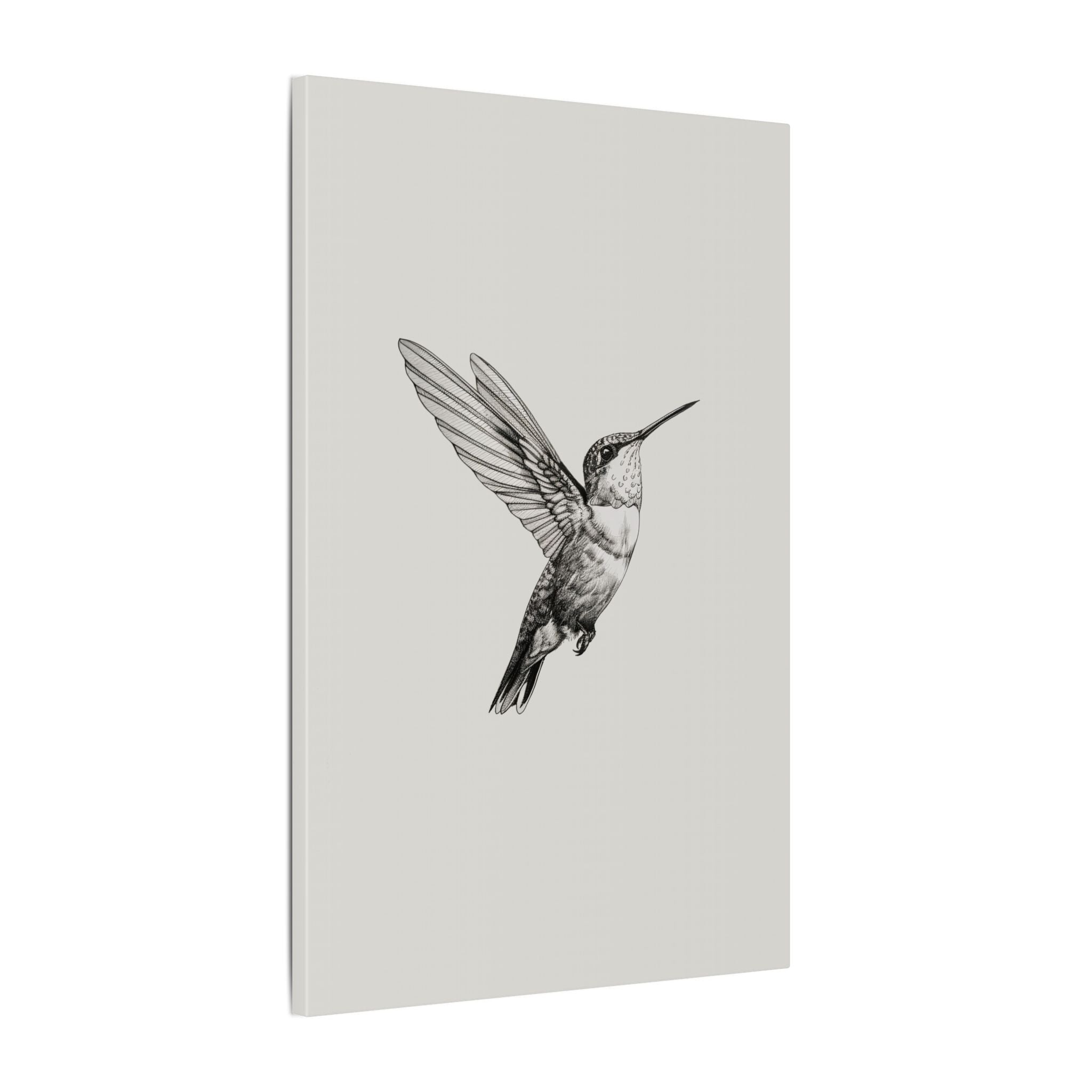 .75" Matte Canvas - Flying Hummingbird Line Study