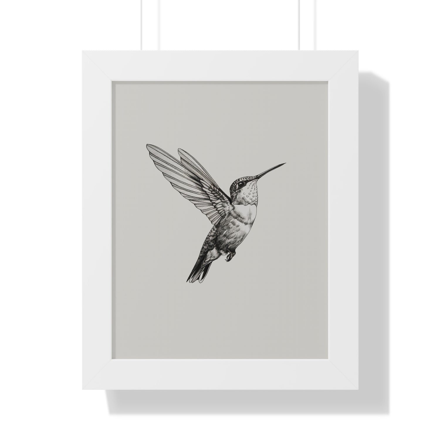 Framed Paper Print - Flying Hummingbird Line Study