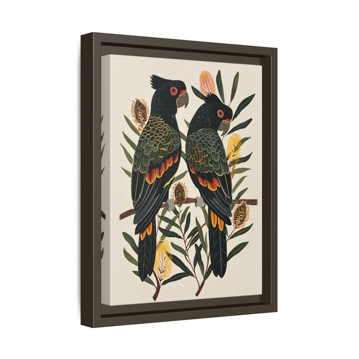 Framed Canvas - Black Cockatoos Among Banksia
