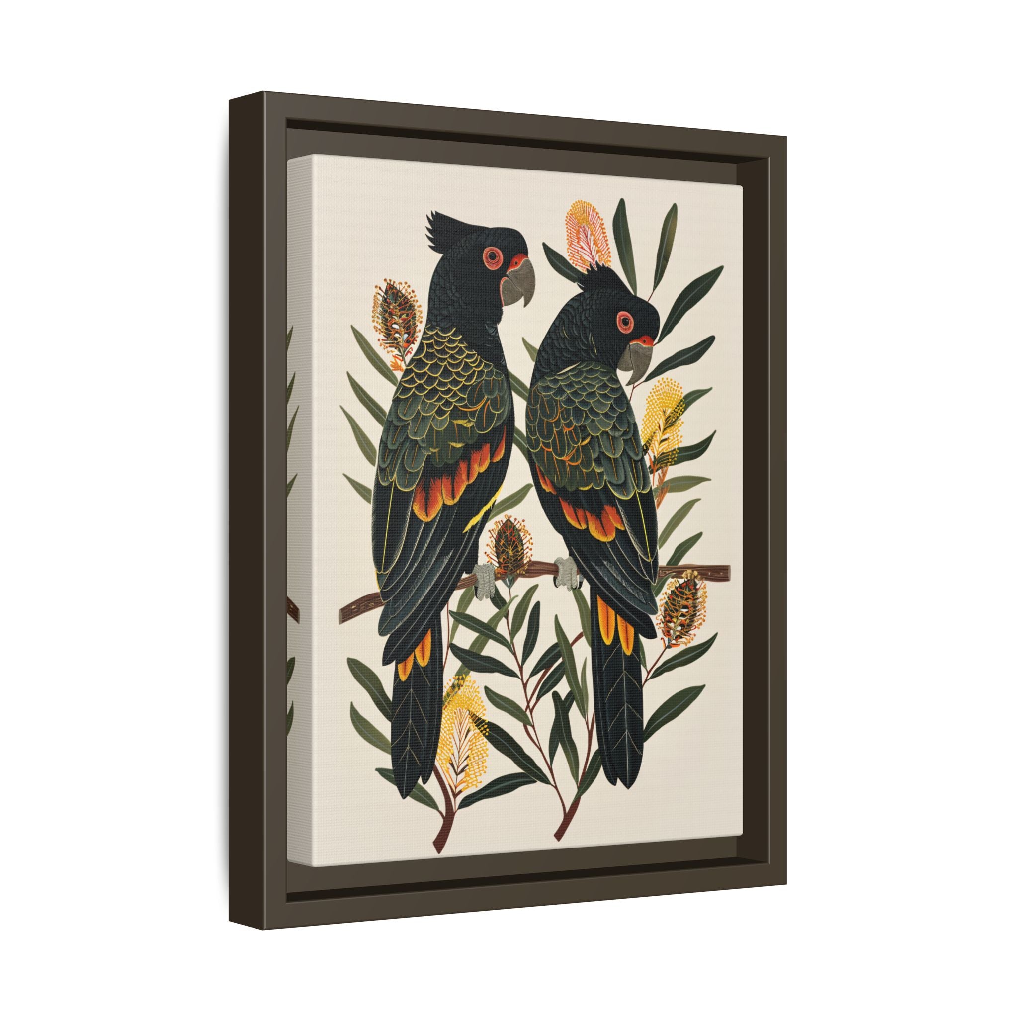 Framed Canvas - Black Cockatoos Among Banksia