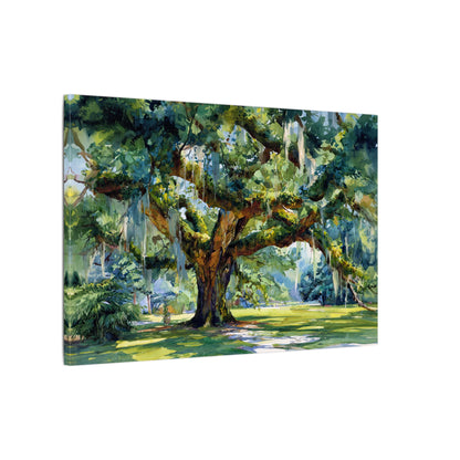 .75" Matte Canvas - Whispering Southern Live Oak