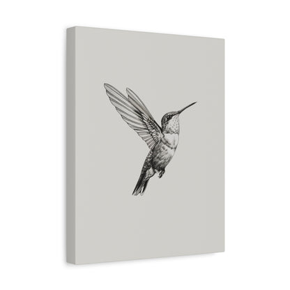 1.25" Matte Canvas - Flying Hummingbird Line Study